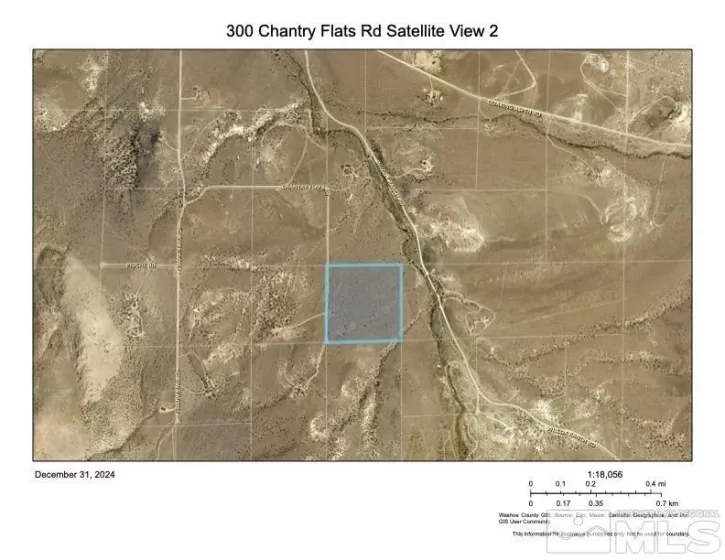 300 Chantry Flats Rd, Reno, Nevada 89510, ,Land,For Sale,Chantry Flats Rd,250000283