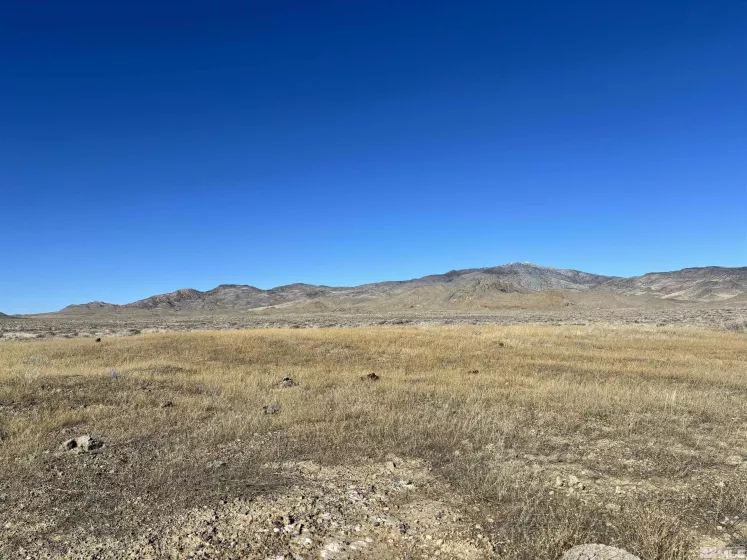 101213 Fencemaker Rd, Lovelock, Nevada 89419, ,Land,For Sale,Fencemaker Rd,250000470