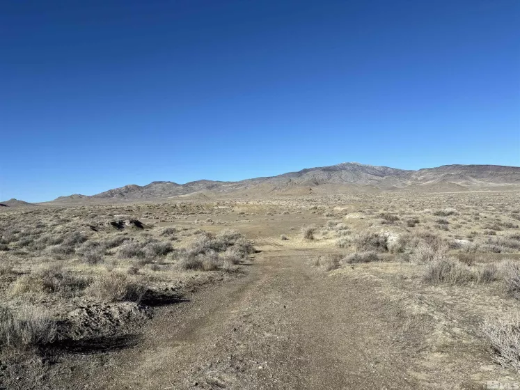 101213 Fencemaker Rd, Lovelock, Nevada 89419, ,Land,For Sale,Fencemaker Rd,250000470