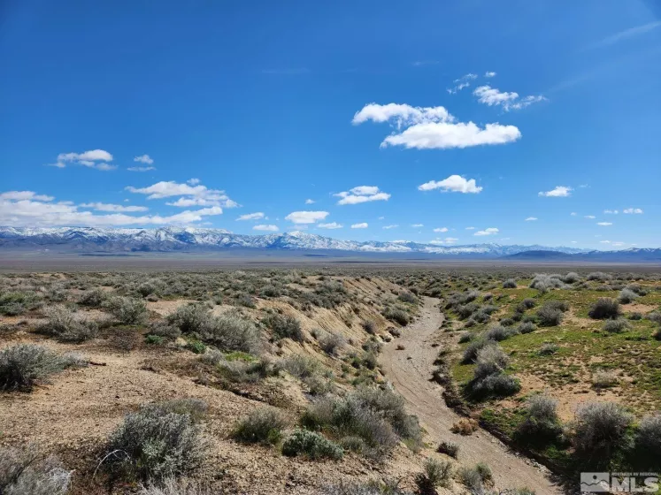 101213 Fencemaker Rd, Lovelock, Nevada 89419, ,Land,For Sale,Fencemaker Rd,250000470