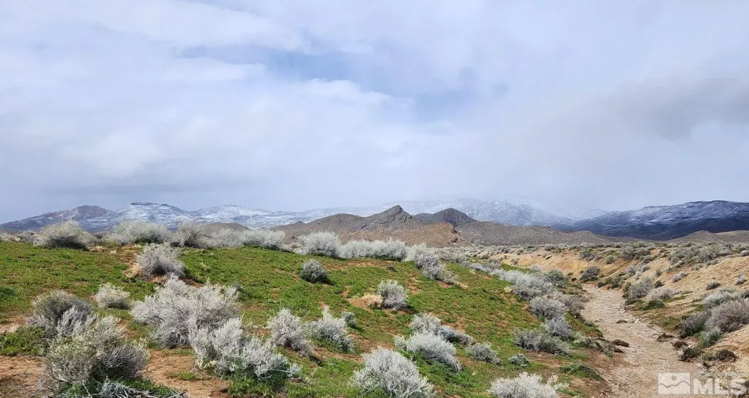 101213 Fencemaker Rd, Lovelock, Nevada 89419, ,Land,For Sale,Fencemaker Rd,250000470