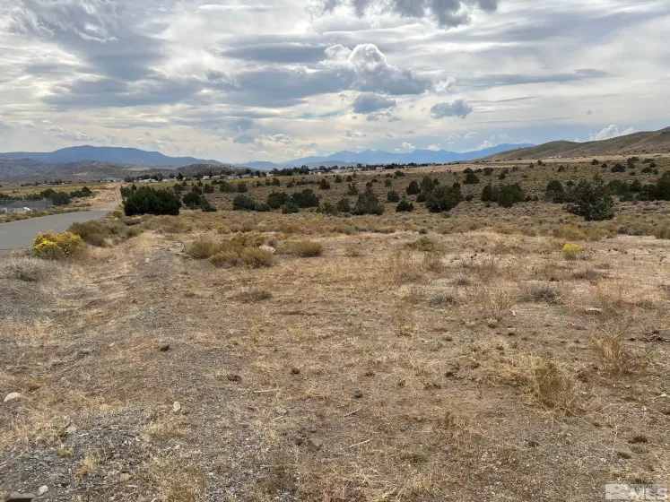 23 Cygnet Dr, Moundhouse, Nevada 89706, ,Land,For Sale,Cygnet Dr,250000473