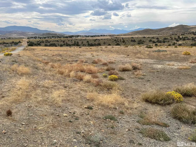 23 Cygnet Dr, Moundhouse, Nevada 89706, ,Land,For Sale,Cygnet Dr,250000473