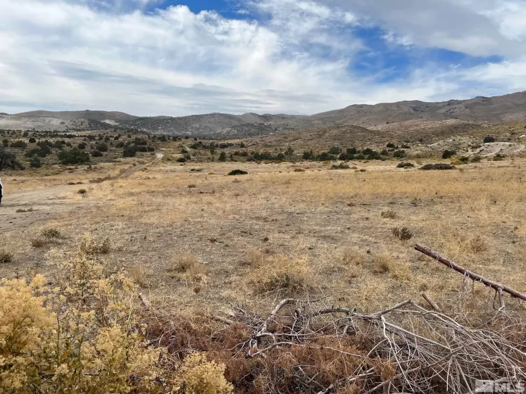 22 Cygnet, Moundhouse, Nevada 89706, ,Land,For Sale,Cygnet,250000474