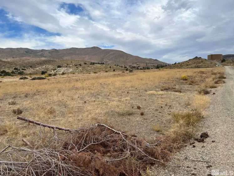 22 Cygnet, Moundhouse, Nevada 89706, ,Land,For Sale,Cygnet,250000474