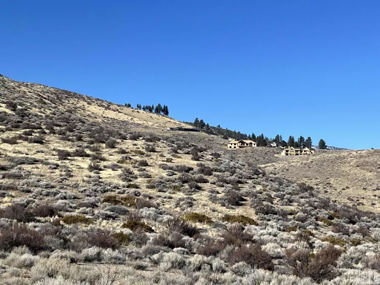 4014 Via Grant, Carson City, Nevada 89703, ,Land,For Sale,Via Grant,250000485