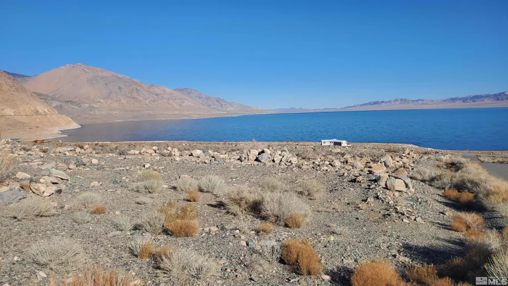 102 Shores Drive, Walker Lake, Nevada 89415, ,Land,For Sale,Shores Drive,250000534