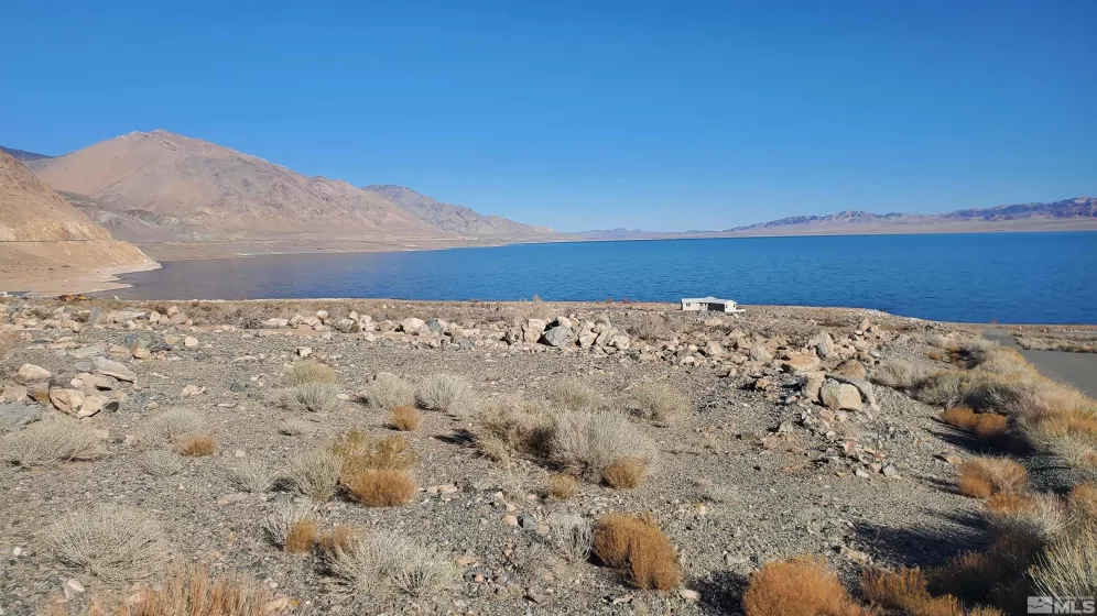 102 Shores Drive, Walker Lake, Nevada 89415, ,Land,For Sale,Shores Drive,250000534