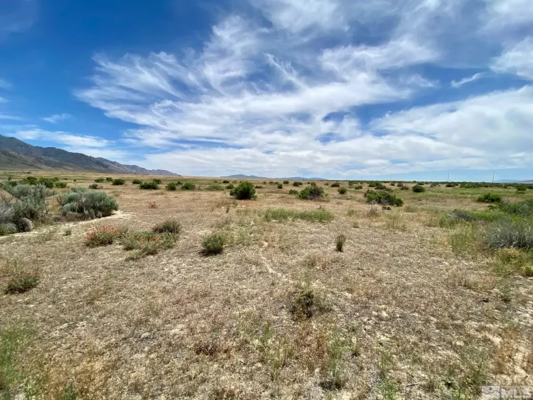 17030 Lancaster Rd, Lovelock, Nevada 89419, ,Land,For Sale,Lancaster Rd,250000640