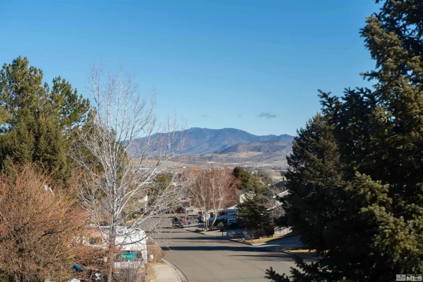 3496 Harvard Dr, Carson City, Nevada 89703, 4 Bedrooms Bedrooms, ,3 BathroomsBathrooms,Residential,For Sale,Harvard Dr,250000643