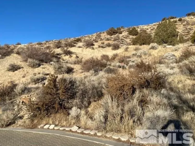 3210 Thornhill Dr, Reno, Nevada 89509, ,Land,For Sale,Thornhill Dr,250000671