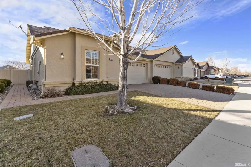 11055 Lamour Ln, Reno, Nevada 89521, 3 Bedrooms Bedrooms, ,2 BathroomsBathrooms,Residential,For Sale,Lamour Ln,250000702