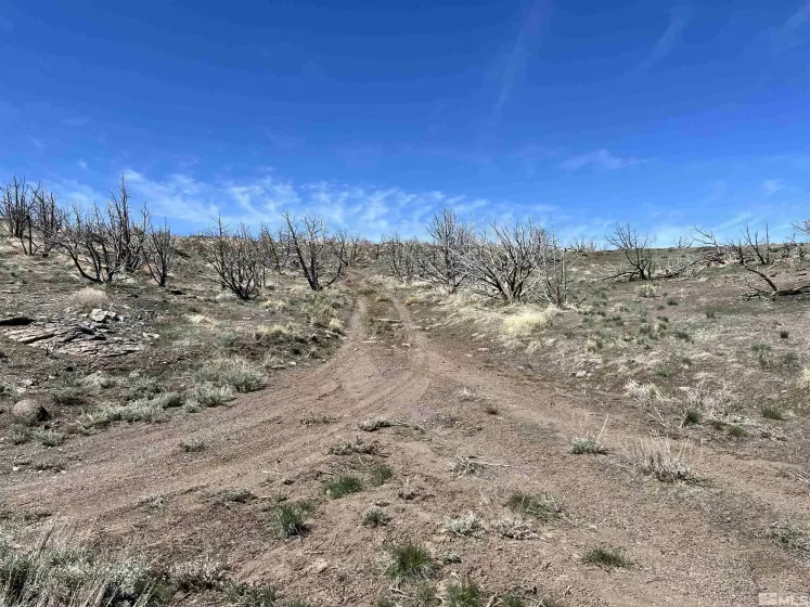 400 Vista Trail, Washoe City, Nevada 89510, ,Land,For Sale,Vista Trail,240009530