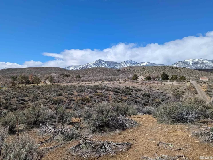 0 Plymouth, Minden, Nevada 89423, ,Land,For Sale,Plymouth,240003151