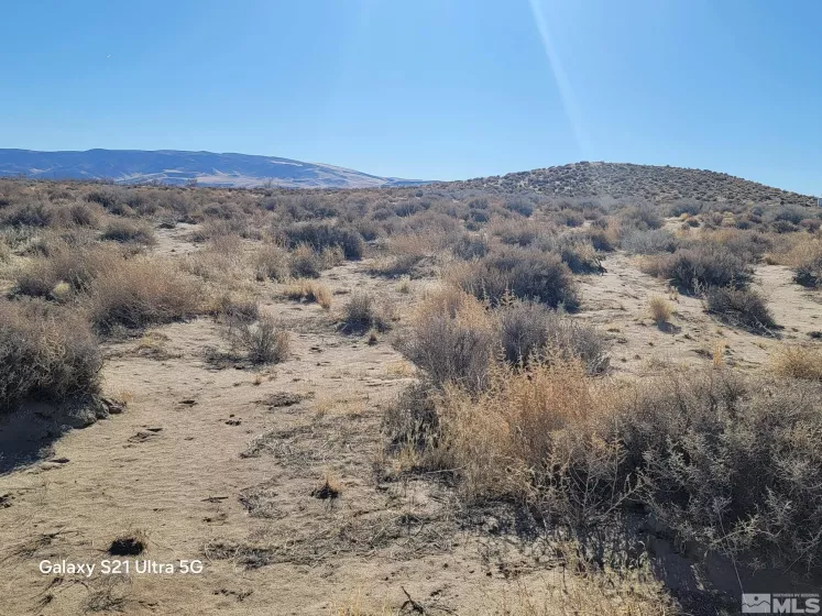 1595 E 6Th St, Silver Springs, Nevada 89429, ,Land,For Sale,E 6Th St,250000737