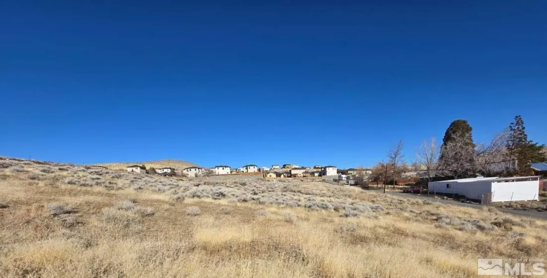 5165 Waldren Dr, Reno, Nevada 89506, ,Land,For Sale,Waldren Dr,250000742