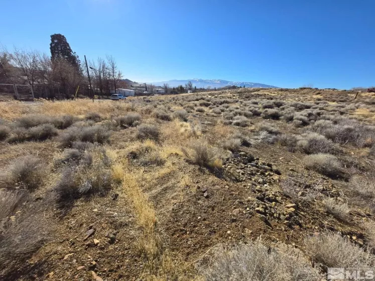 5165 Waldren Dr, Reno, Nevada 89506, ,Land,For Sale,Waldren Dr,250000742