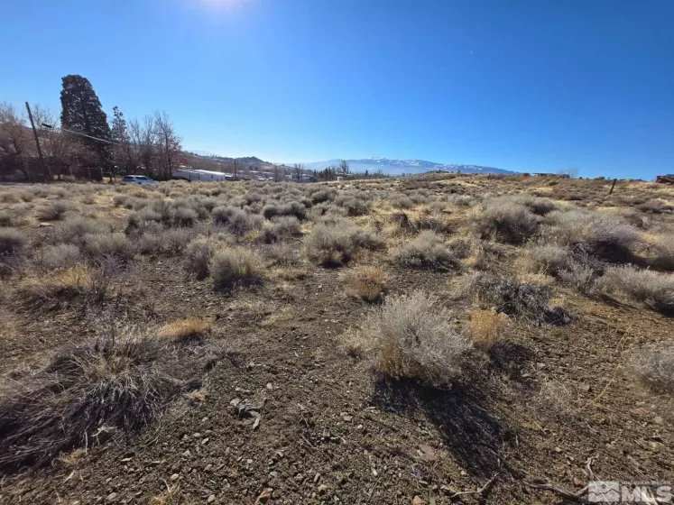 5165 Waldren Dr, Reno, Nevada 89506, ,Land,For Sale,Waldren Dr,250000742