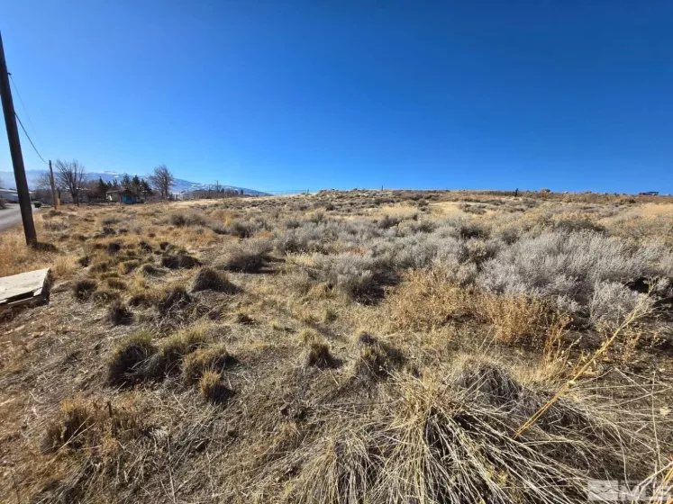 5165 Waldren Dr, Reno, Nevada 89506, ,Land,For Sale,Waldren Dr,250000742