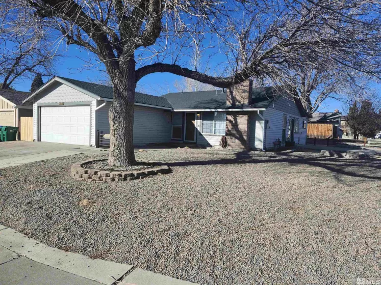 1190 Jason Dr., Sparks, Nevada 89434, 3 Bedrooms Bedrooms, ,2 BathroomsBathrooms,Residential,For Sale,Jason Dr.,250000744