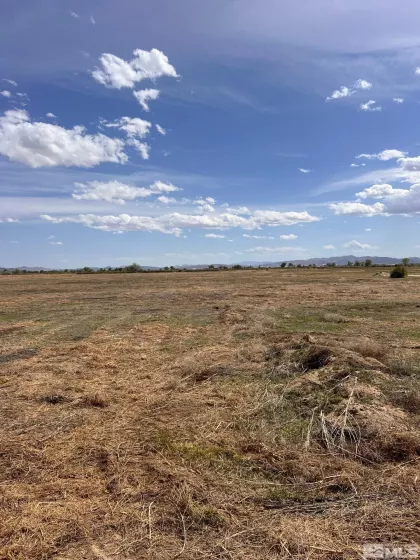 4478 Benson, Fallon, Nevada 89406, ,Land,For Sale,Benson,250000746