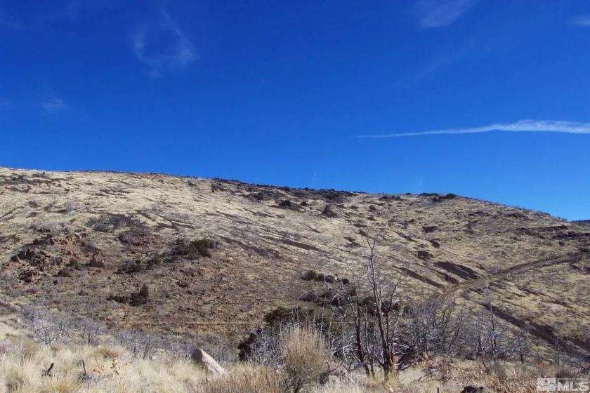 3655 Piute Creek Rd, Reno, Nevada 89510, ,Land,For Sale,Piute Creek Rd,250000780