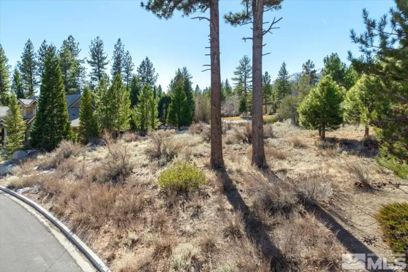 5715 Nordend Way, Reno, Nevada 89511, ,Land,For Sale,Nordend Way,250000882