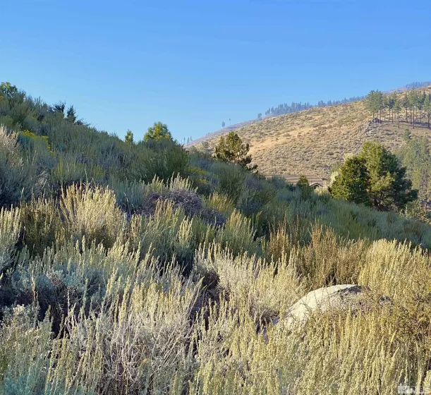 3733 Buckskin, Carson City, Nevada 89703, ,Land,For Sale,Buckskin,230011833