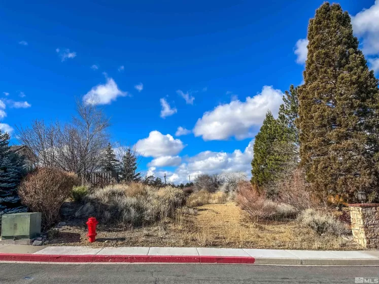 0 Marthiam, Reno, Nevada 89509, ,Land,For Sale,Marthiam,240001225