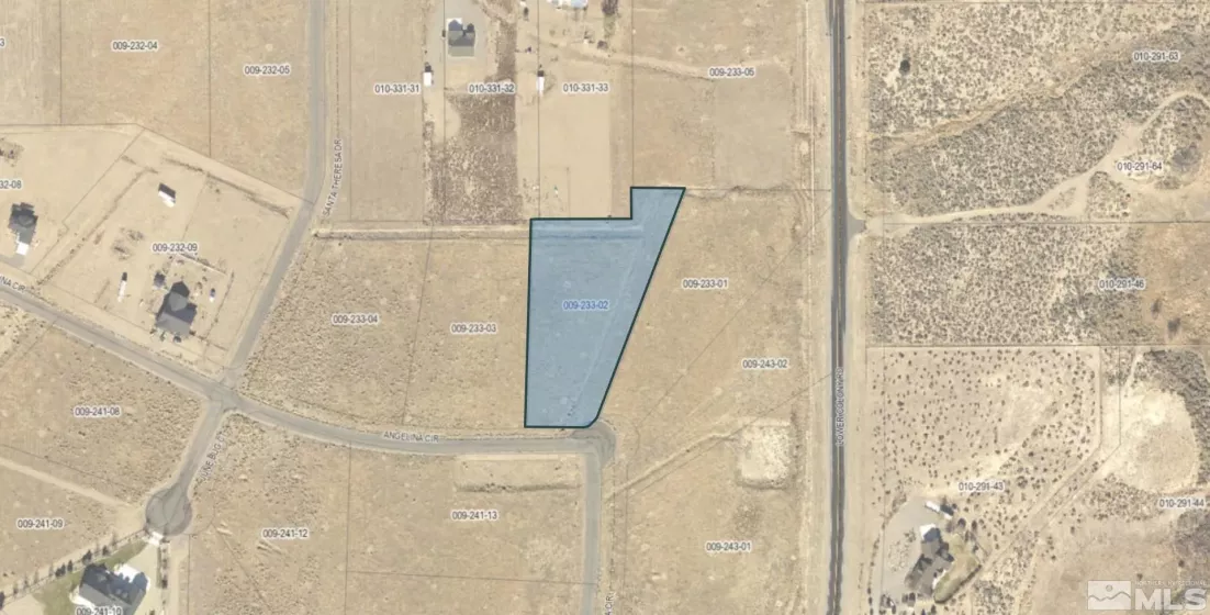 341 Angelina Circle, Wellington, Nevada 89444, ,Land,For Sale,Angelina Circle,240001280