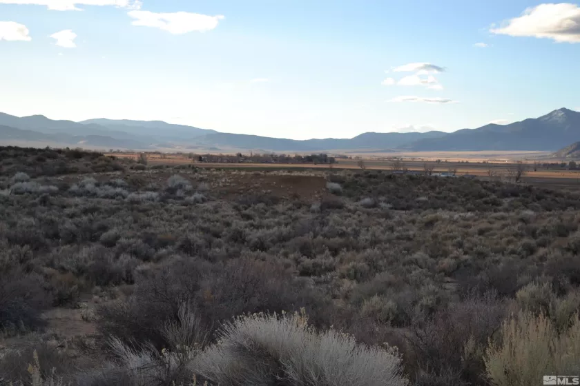 253 Artist View Road, Wellington, Nevada 89444, ,Land,For Sale,Artist View Road,250001316