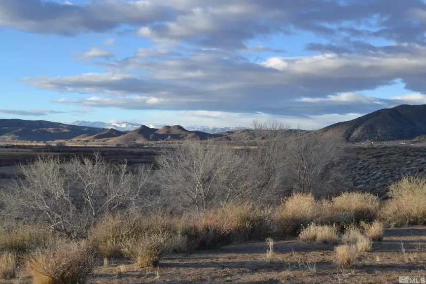 253 Artist View Road, Wellington, Nevada 89444, ,Land,For Sale,Artist View Road,250001316