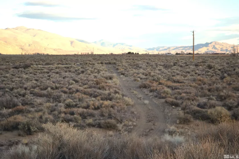 253 Artist View Road, Wellington, Nevada 89444, ,Land,For Sale,Artist View Road,250001316