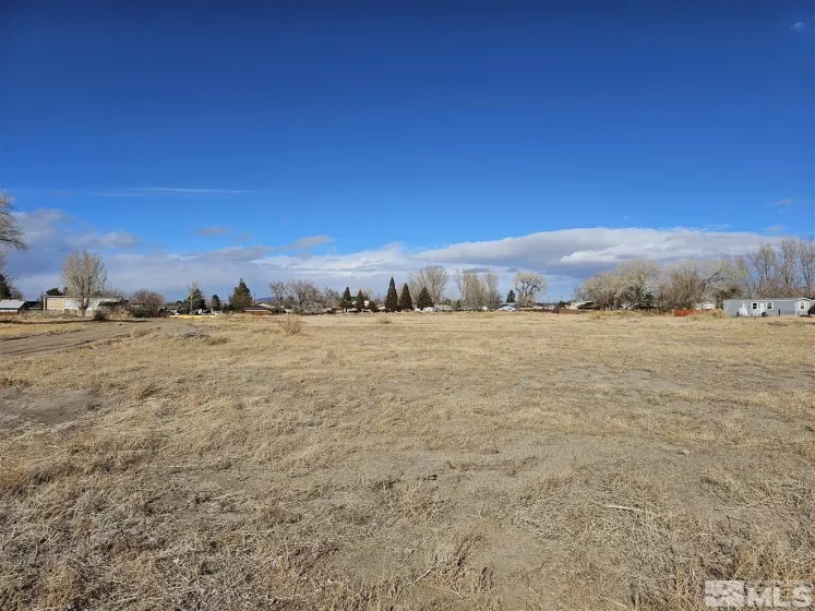 6.6ac S. Whitacre St., Yerington, Nevada 89447, ,Land,For Sale,6.6ac S. Whitacre St.,250001435