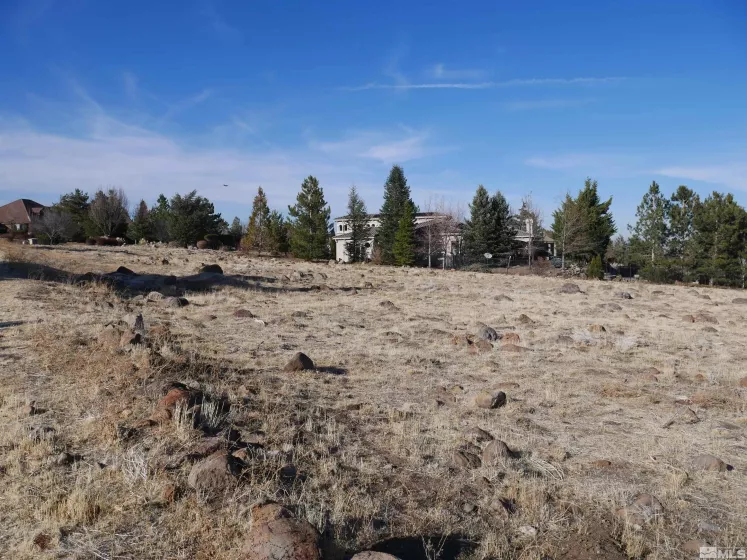 1235 Springer Ct, Reno, Nevada 89511, ,Land,For Sale,Springer Ct,250001479