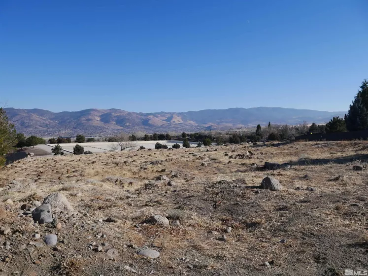 1235 Springer Ct, Reno, Nevada 89511, ,Land,For Sale,Springer Ct,250001479