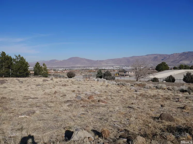 1235 Springer Ct, Reno, Nevada 89511, ,Land,For Sale,Springer Ct,250001479