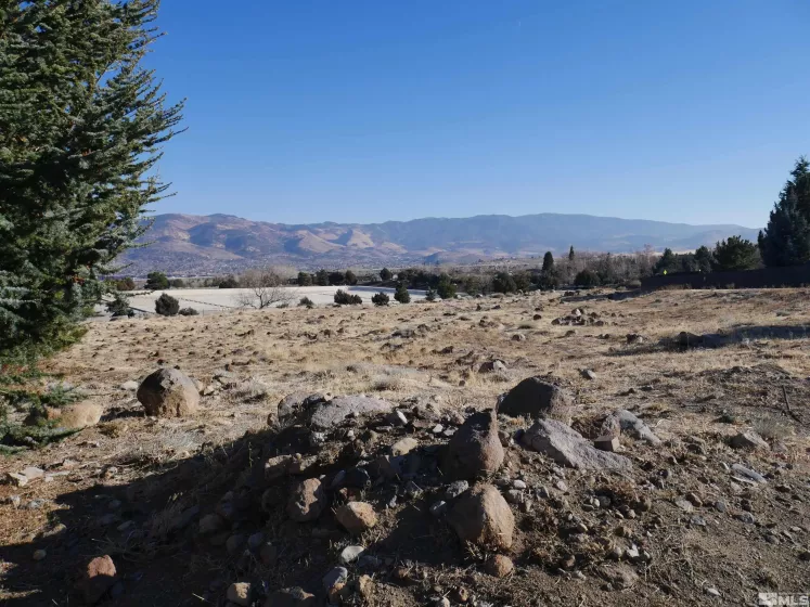 1235 Springer Ct, Reno, Nevada 89511, ,Land,For Sale,Springer Ct,250001479