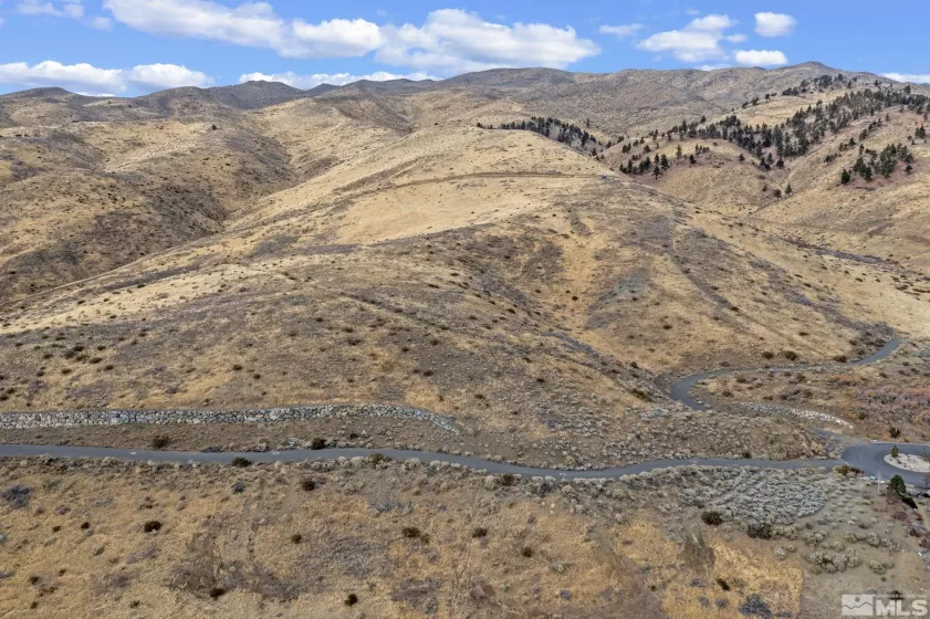 00 Painted River Trail, Reno, Nevada 89523, ,Land,For Sale,Painted River Trail,250001491