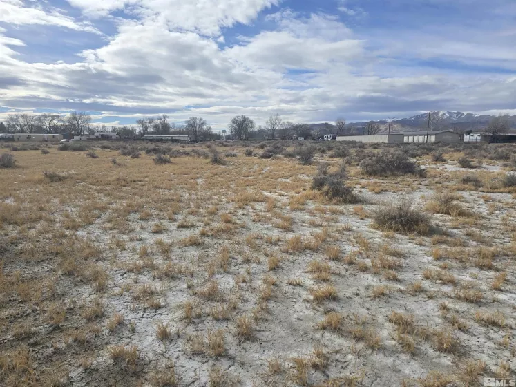 695 Trescott Street, Battle Mountain, Nevada 89820, ,Land,For Sale,Trescott Street,250001501