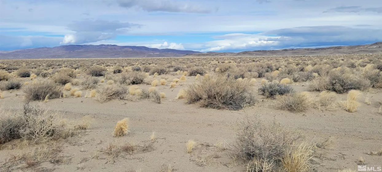 4650 Third Street, Silver Springs, Nevada 89429, ,Land,For Sale,Third Street,250001503