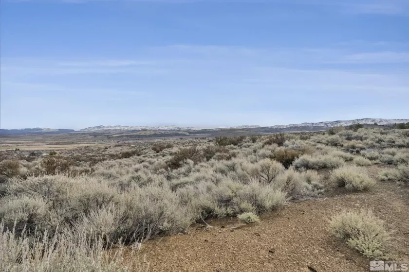 Lot 10 Hawkins Peak Road, Markleeville, Ca, California 96107, ,Land,For Sale,Hawkins Peak Road,250001785