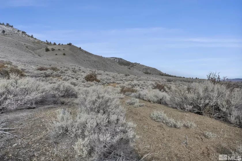 Lot 10 Hawkins Peak Road, Markleeville, Ca, California 96107, ,Land,For Sale,Hawkins Peak Road,250001785