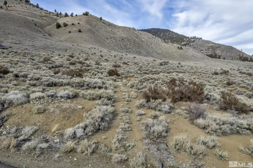 Lot 10 Hawkins Peak Road, Markleeville, Ca, California 96107, ,Land,For Sale,Hawkins Peak Road,250001785