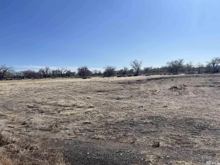 OFF OF RENO HWY 7.5 ACRES, Fallon, Nevada 89406, ,Land,For Sale,RENO HWY 7.5 ACRES,250003022