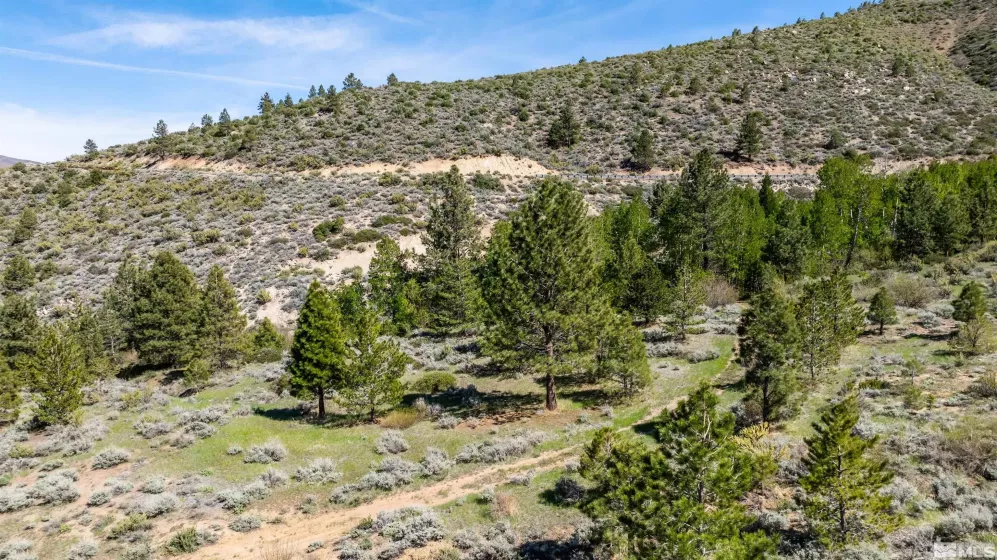 7440 Bryan Canyon Rd, Washoe Valley, Nevada 89704, ,Land,For Sale,Bryan Canyon Rd,250003049