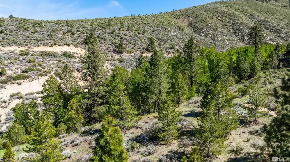 7440 Bryan Canyon Rd, Washoe Valley, Nevada 89704, ,Land,For Sale,Bryan Canyon Rd,250003049