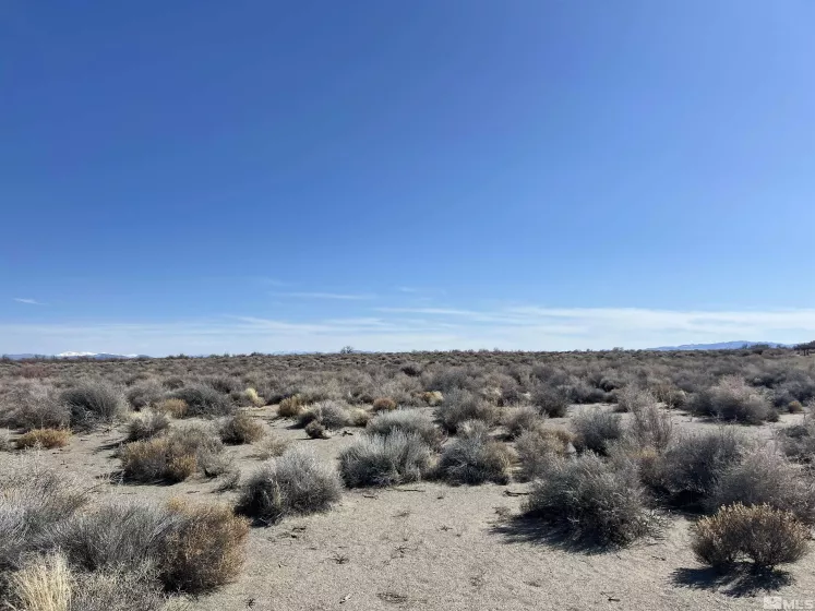 00805203 APN, Fallon, Nevada 89406, ,Land,For Sale,00805203 APN,250003072