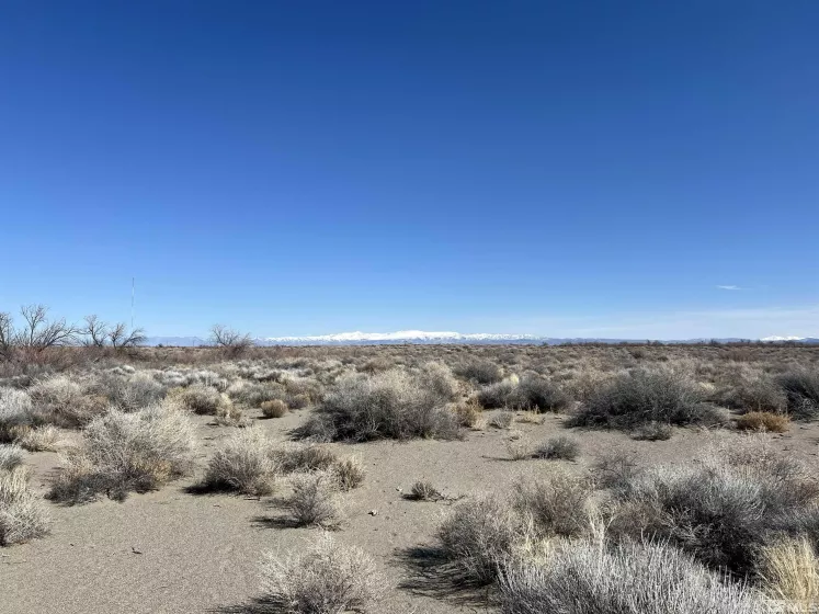 00805203 APN, Fallon, Nevada 89406, ,Land,For Sale,00805203 APN,250003072