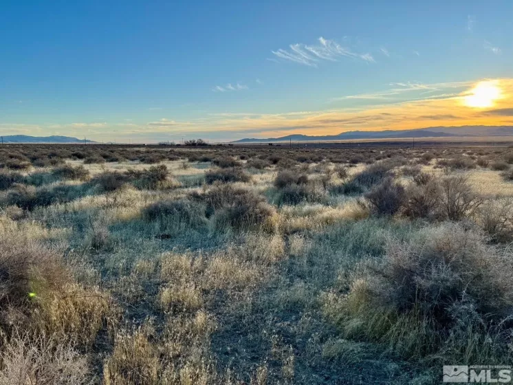 21555 Pyramid Lake Rd, Lovelock, Nevada 89419, ,Land,For Sale,Pyramid Lake Rd,250003082